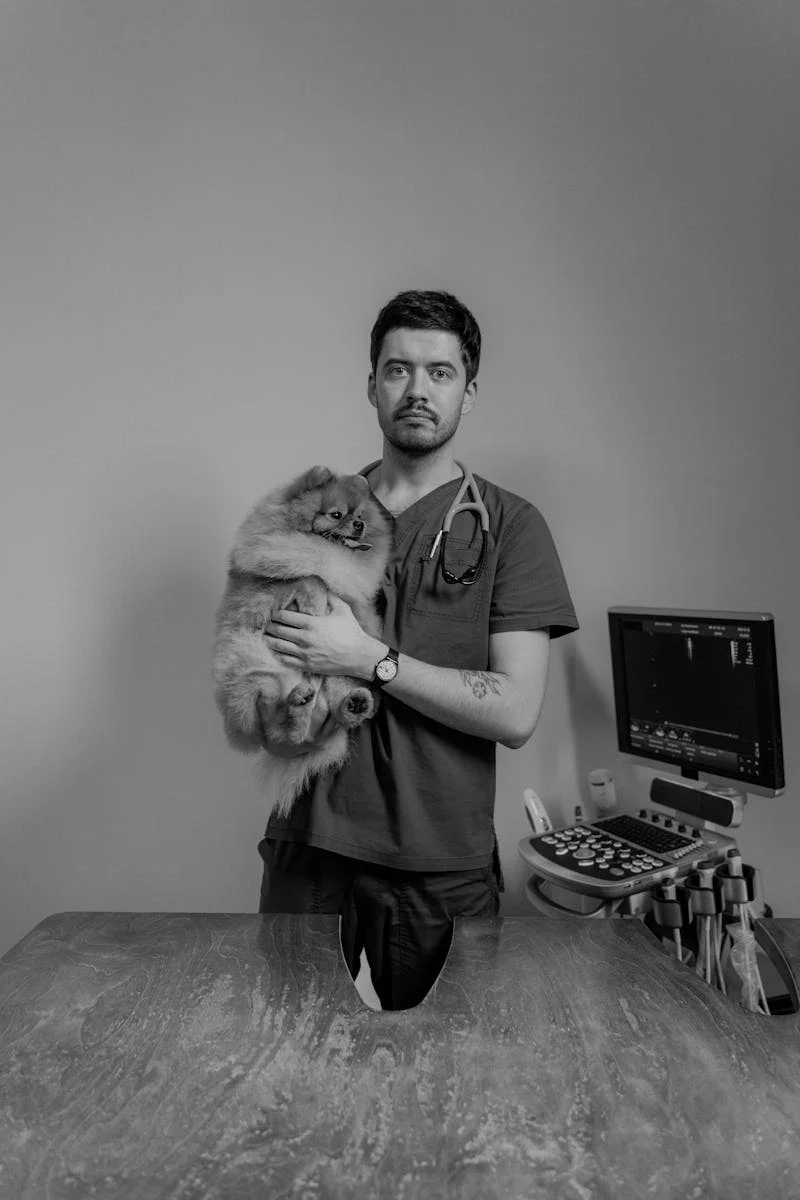 Vet Vida | Veterinário em Limeira - equipe